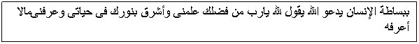 Text Box:                  